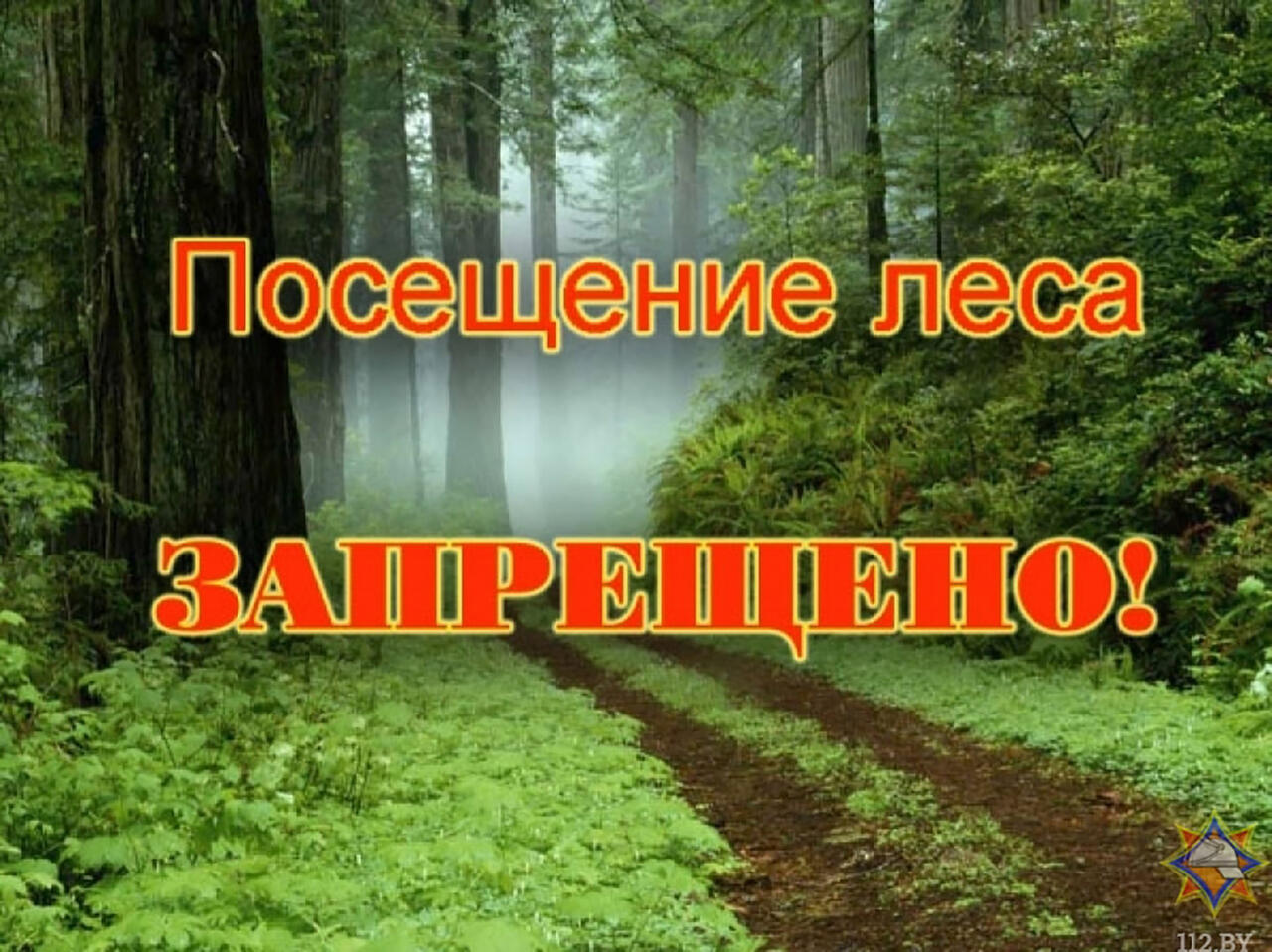 Запрет на посещение леса.